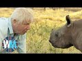 Top 10 David Attenborough Moments