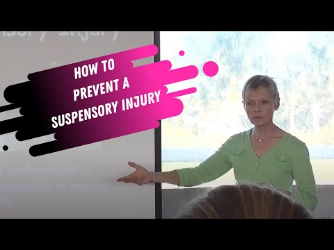 YouTube video about: Should I buy a horse with a suspensory ligament injury?