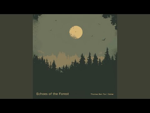 Echoes of the Forest