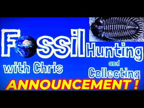 Fossil Hunting and Collecting Announcement! Fossil Hunting and Collecting with Chris