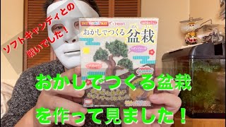 【ソフトキャンディとの戦い！】おかしでつくる盆栽の政策にチャレンジ！
