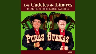 Tu Vida No Me Importa