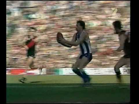 VFL EF 1982 - North Melb v Essendon