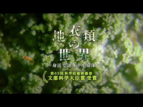 なぜ木に地衣類があるのですか