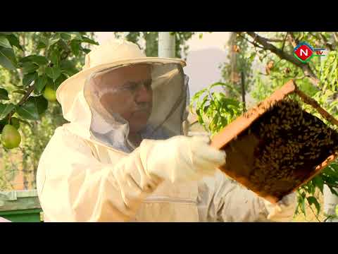 Ailə təsərrüfatları - 20.07.2022