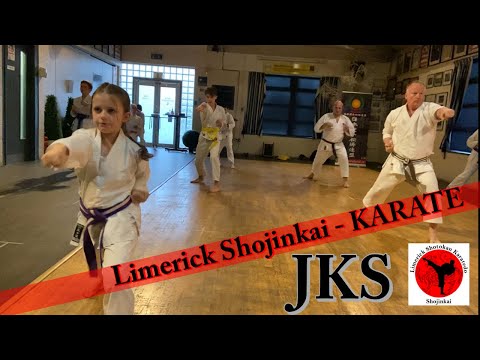 BUDO KARATE: SHOTOKAN KARATE KIDS - Limerick Shojinkai