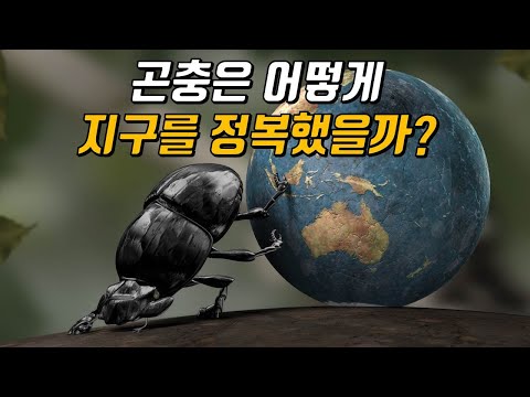 아이콘