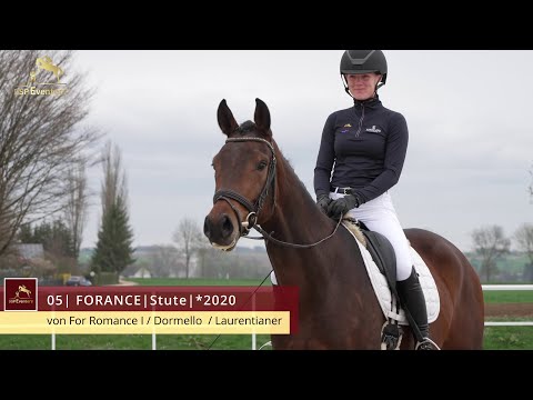 KN 5 Forance | Stute *2020 v. For Romance I - Dormello