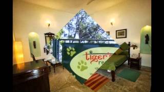 preview picture of video 'Tiger Den Bandhavgarh'
