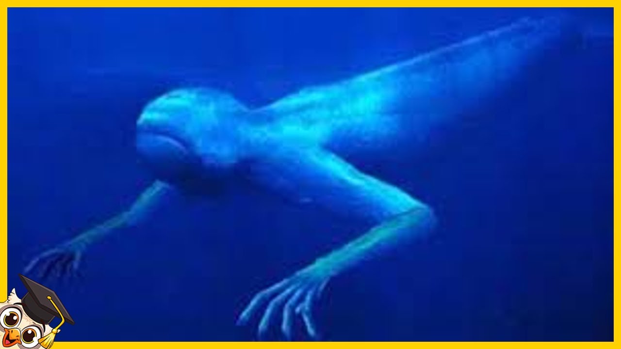 10 Misteriosos Monstruos Submarinos