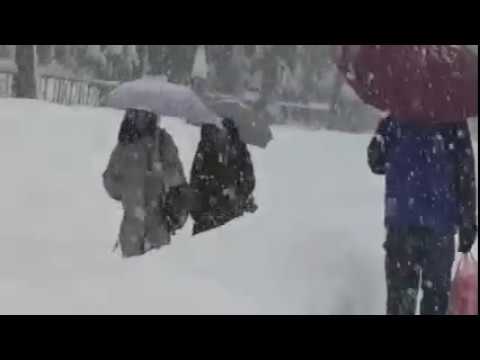 snježni pokrivač nad opštinom PLAV