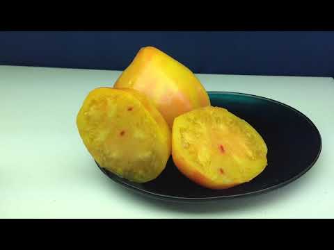 Desdemona's Heart Tomato. The Perfect Tomato For Gourmet Chefs!