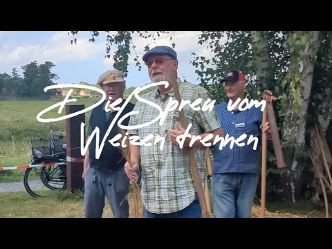 Die Spreu vom Weizen trennen 🌾 So wurde vor 100 Jahren gedroschen