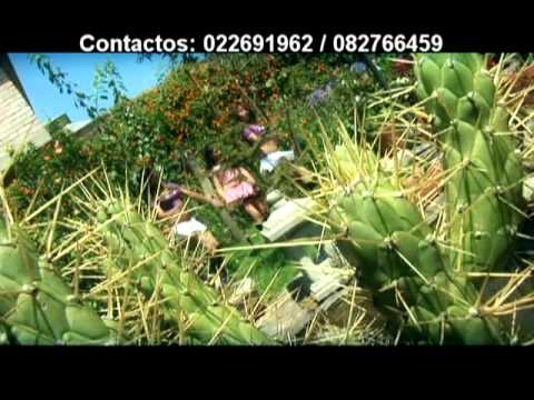 YESY CRIS-MUCHACHITO CELOSO