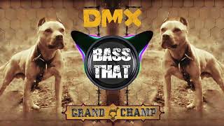 DMX - Fuck Y&#39;all (Bass Boosted)