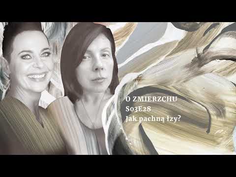 S03E28 Jak pachną łzy? - O Zmierzchu