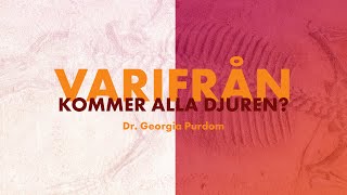 Thumbnail for video: Varifrån kommer alla djuren? - Dr. Georgia Purdom