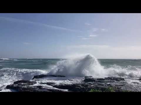 Colonia de Sant Jordi 2026 091 27