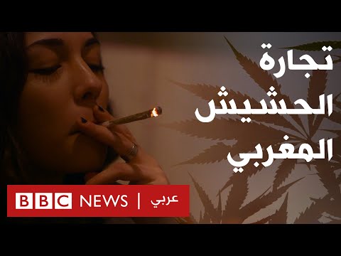 من يحقق الثراء من الحشيش المغربي؟