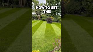 How do you get those stripes #lawncare #garden