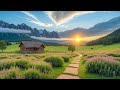Relaxing Music To Rest The Mind Stress Anxiety Relax Heal Mind Body And Soul