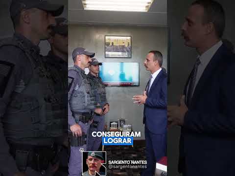 POLICIAIS APREENDEM 1620 ARMAS E 128 MIL MUNIÇÕES