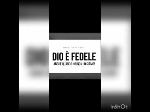 ft isacco - l'esenziale