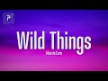Alessia Cara Wild Things Lyrics