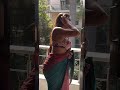 Desi Bhabhi Cleavage Show In Saree Blouse
