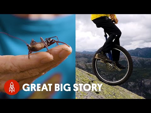 Meet the People with the Most Daring Jobs In the World