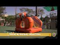 PISCINA DE BOLINHAS CACHORRINHO LOCAÇÃO DE BRINQUEDOS