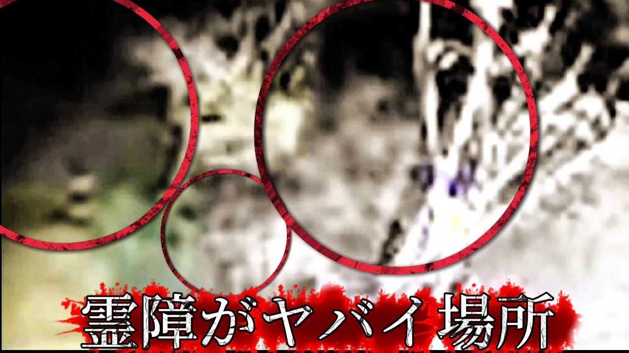 【マイナー激ヤバスポット・心霊雑誌掲載場所】一人心霊検証LIVE