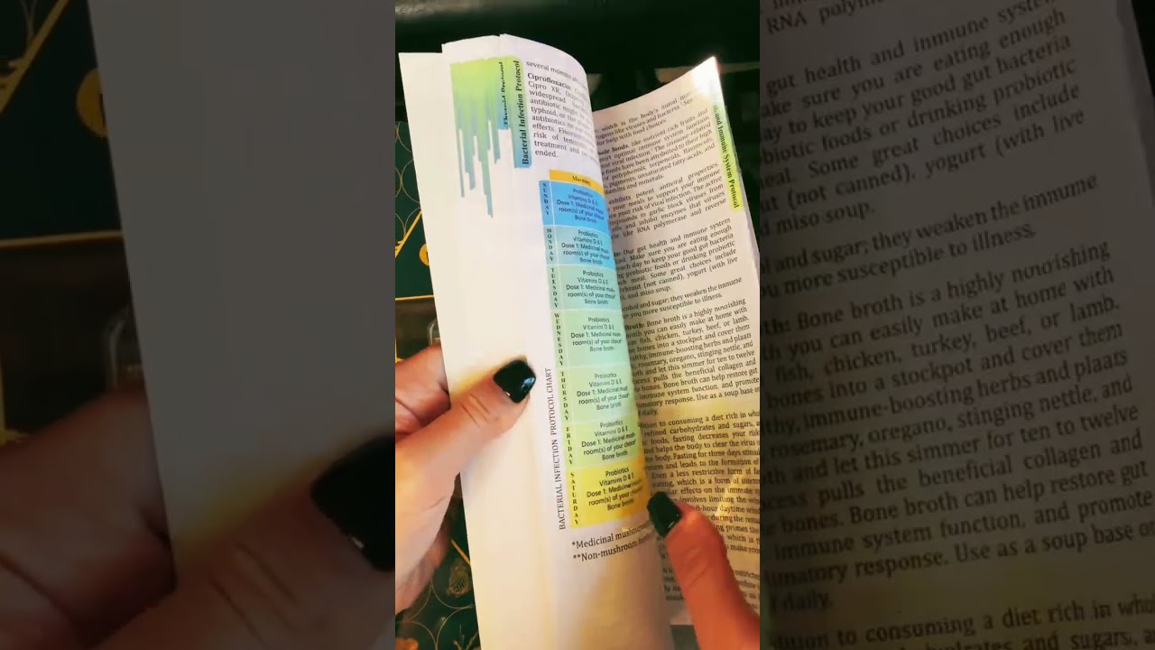 Holistic wellness guide: herbal protocols for everyday ailments