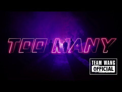 PANTHEPACK - Too Many (Official Visualizer)
