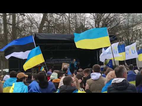 Solidarity March for Ukraine 25 February 2023 in Brussels - Lenara Osmanova.