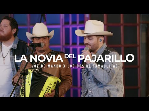 Voz De Mando, Los Dos De Tamaulipas - La Novia del Pajarillo