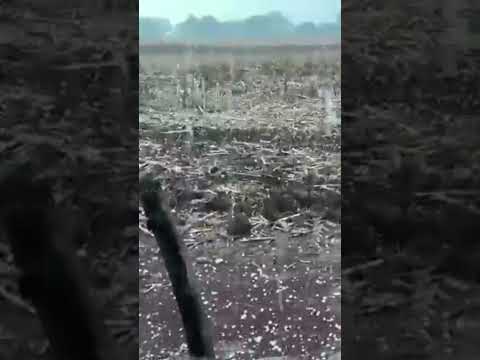 QUEDA DE GRANIZO No Paraná! Conforme foi previsto! Assista! #shorts