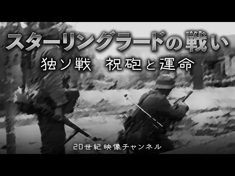 Facebook:孫がスターリングラードからの祖父からの手紙を「リアルタイム」で公開