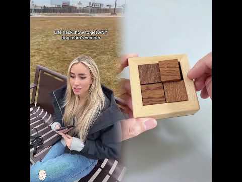 Thank me later #dog #funnydog #dating