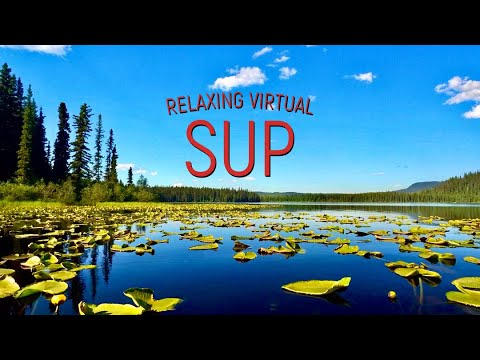 Relaxing Sup on a Calm Lake | Scenic Relaxation Virtual Paddle Boarding