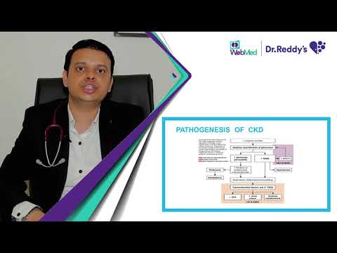 Early Detection and Screening of Chronic Kidney Disease