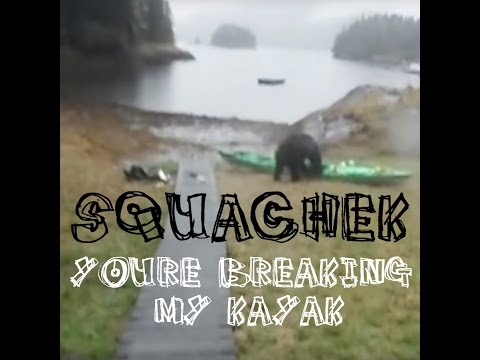 Bear Eats Kayak (Squachek Remix)