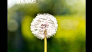 Blof - Omdat Het Anders Wordt