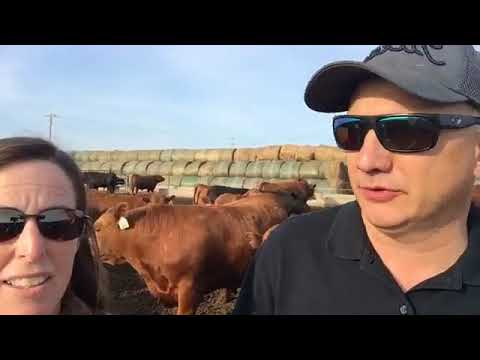 download lagu mp3 mp4 Midwest Pms Nutrition, download lagu Midwest Pms Nutrition gratis, unduh video klip Midwest Pms Nutrition