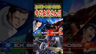 今だよ兄さん！―コンビネーション･フロスト[IB実況]