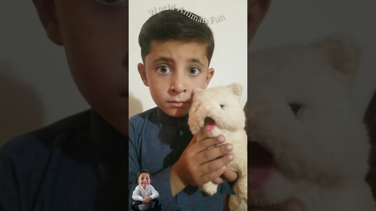 Funny Cat 🐱and Dog 🐶video 🤣 #funnyanimals #animals #pets #shorts