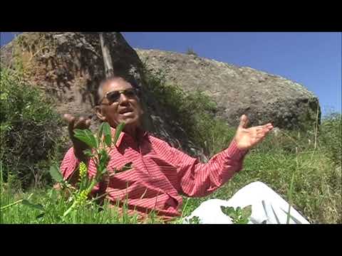 LOS PUQUIALES - ADIOS PUQUIANITA -  AUTOR ZENÓN MARCATINCO