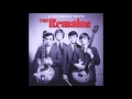 The Remains - When I Want To Know