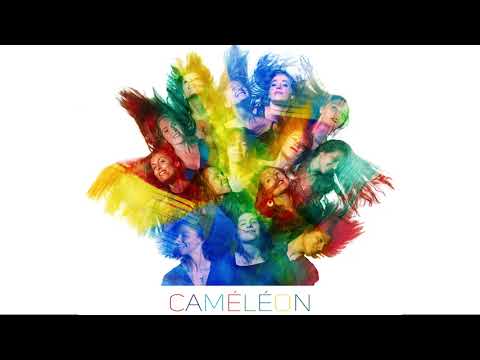 Teaser  Thierry Maillard ensemble  "Caméléon" Sortie album le 25 mars 2022