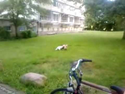 Ick renn durch den Park